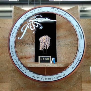 世界らん展2026-花と緑の祭典-に投稿された画像（2024/2/17）