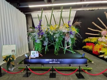 世界らん展2026-花と緑の祭典-に投稿された画像（2024/2/17）