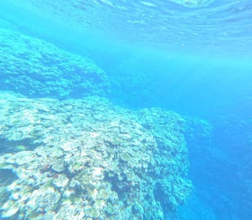 石垣島 ADVENTURE PiPi（イシガキジマアドベンチャーピピ）に投稿された画像（2024/2/17）