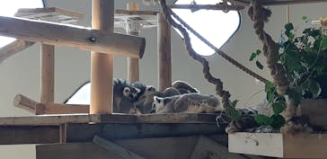 NIFREL（ニフレル）に投稿された画像（2024/2/17）