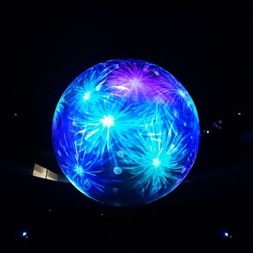 NIFREL（ニフレル）に投稿された画像（2024/2/17）