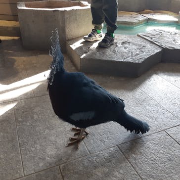 NIFREL（ニフレル）に投稿された画像（2024/2/17）