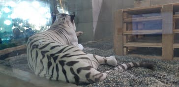 NIFREL（ニフレル）に投稿された画像（2024/2/17）