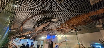 国立科学博物館に投稿された画像（2024/2/17）