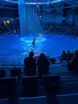 マクセル アクアパーク品川に投稿された画像（2024/2/17）