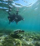 オースリーシュノーケル宮古島に投稿された画像（2024/2/17）