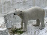 天王寺動物園に投稿された画像（2024/2/17）