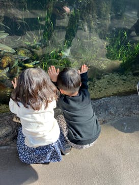 環境水族館アクアマリンふくしまに投稿された画像（2024/2/17）
