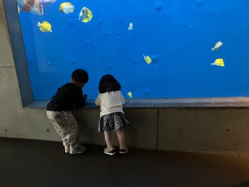 環境水族館アクアマリンふくしまに投稿された画像（2024/2/17）