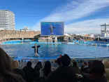 名古屋港水族館に投稿された画像（2024/2/17）