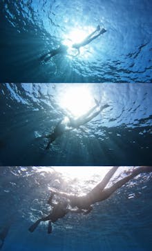 Okinawa Diving sun's（オキナワダイビング　サンズ）に投稿された画像（2024/2/17）