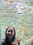 サンシャイン水族館に投稿された画像（2024/2/17）