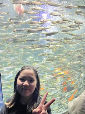 サンシャイン水族館に投稿された画像（2024/2/17）