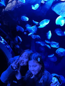 サンシャイン水族館に投稿された画像（2024/2/17）