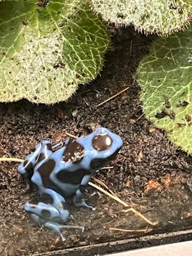 サンシャイン水族館に投稿された画像（2024/2/17）