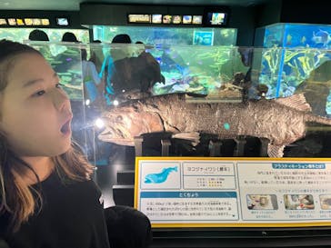 サンシャイン水族館に投稿された画像（2024/2/17）