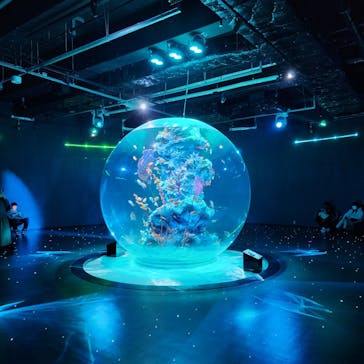 AQUARIUM × ART　atoaに投稿された画像（2024/2/17）