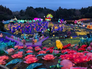 伊豆ぐらんぱる公園に投稿された画像（2024/2/17）