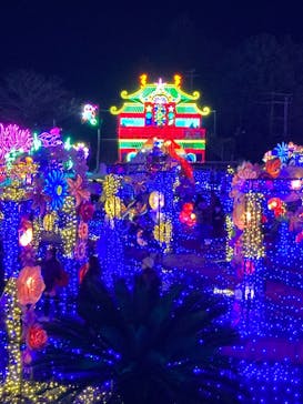 伊豆ぐらんぱる公園に投稿された画像（2024/2/17）