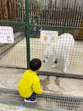 しろとり動物園に投稿された画像（2024/2/17）