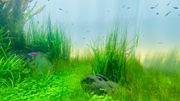 AOAO SAPPOROに投稿された画像（2024/2/17）