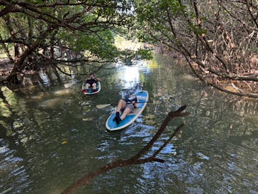 石垣島 ADVENTURE PiPi（イシガキジマアドベンチャーピピ）に投稿された画像（2024/2/17）