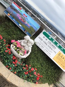 浜名湖パルパルに投稿された画像（2024/2/17）