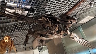 国立科学博物館に投稿された画像（2024/2/17）