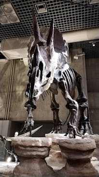 国立科学博物館に投稿された画像（2024/2/17）