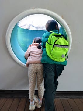 環境水族館アクアマリンふくしまに投稿された画像（2024/2/18）
