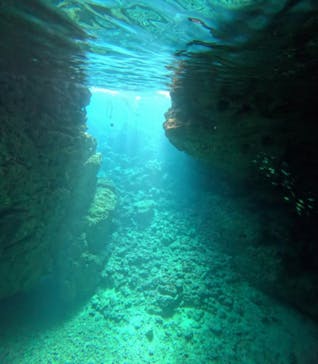 青の洞窟専門店　沖縄ダイビングショップ和に投稿された画像（2024/2/18）