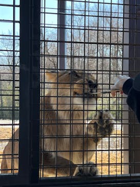 那須サファリパークに投稿された画像（2024/2/18）