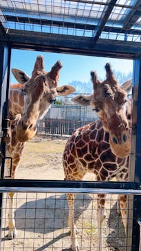 那須サファリパークに投稿された画像（2024/2/18）