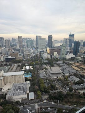 東京タワーに投稿された画像（2024/2/18）