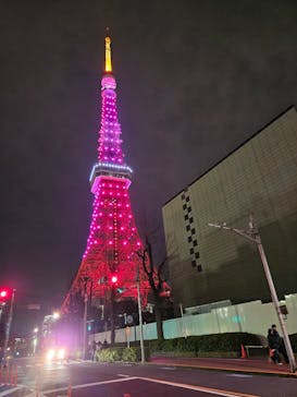 東京タワーに投稿された画像（2024/2/18）