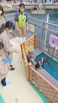 伊豆・三津シーパラダイスに投稿された画像（2024/2/18）