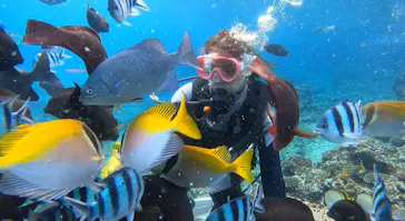 武藤潜水に投稿された画像（2024/2/18）