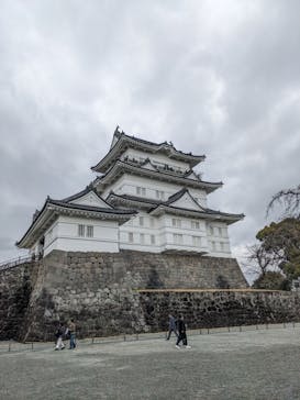 小田原城に投稿された画像（2024/2/18）