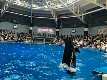 マクセル アクアパーク品川に投稿された画像（2024/2/18）