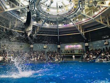 マクセル アクアパーク品川に投稿された画像（2024/2/18）