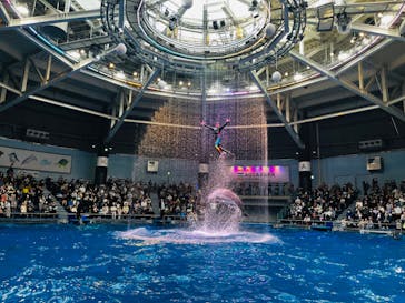 マクセル アクアパーク品川に投稿された画像（2024/2/18）