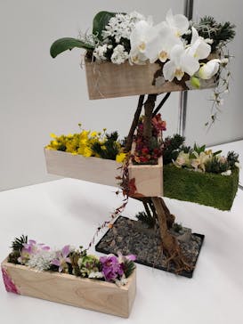 世界らん展2026-花と緑の祭典-に投稿された画像（2024/2/18）