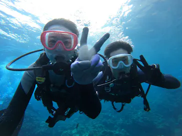 武藤潜水に投稿された画像（2024/2/18）