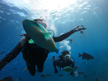 武藤潜水に投稿された画像（2024/2/18）