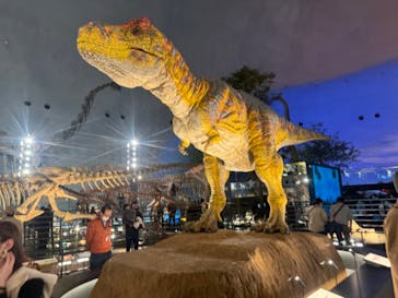 福井県立恐竜博物館に投稿された画像（2024/2/18）