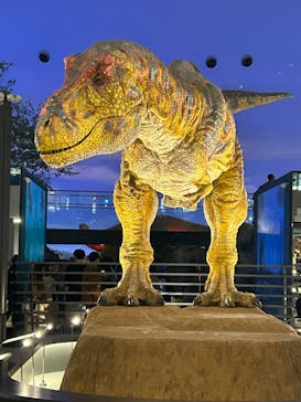 福井県立恐竜博物館に投稿された画像（2024/2/18）