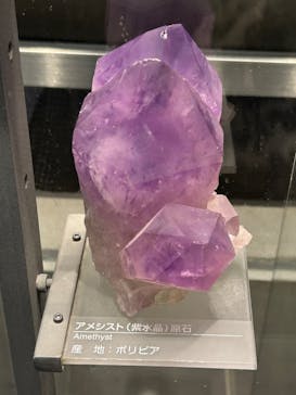 福井県立恐竜博物館に投稿された画像（2024/2/18）