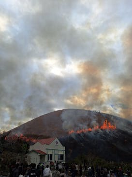 伊豆シャボテン動物公園に投稿された画像（2024/2/18）