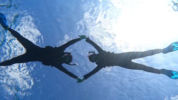 宮古島 ADVENTURE PiPi（ミヤコジマ アドベンチャー ピピ）に投稿された画像（2024/2/18）