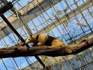 神戸どうぶつ王国に投稿された画像（2024/2/18）